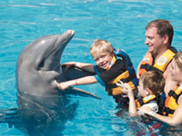 Xcaret Dolphin pools